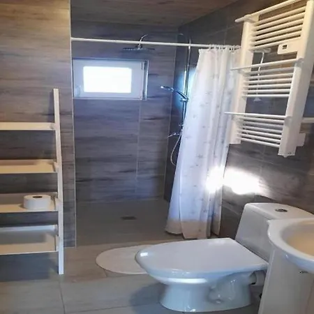 Comfortable Homes With Terraces, *